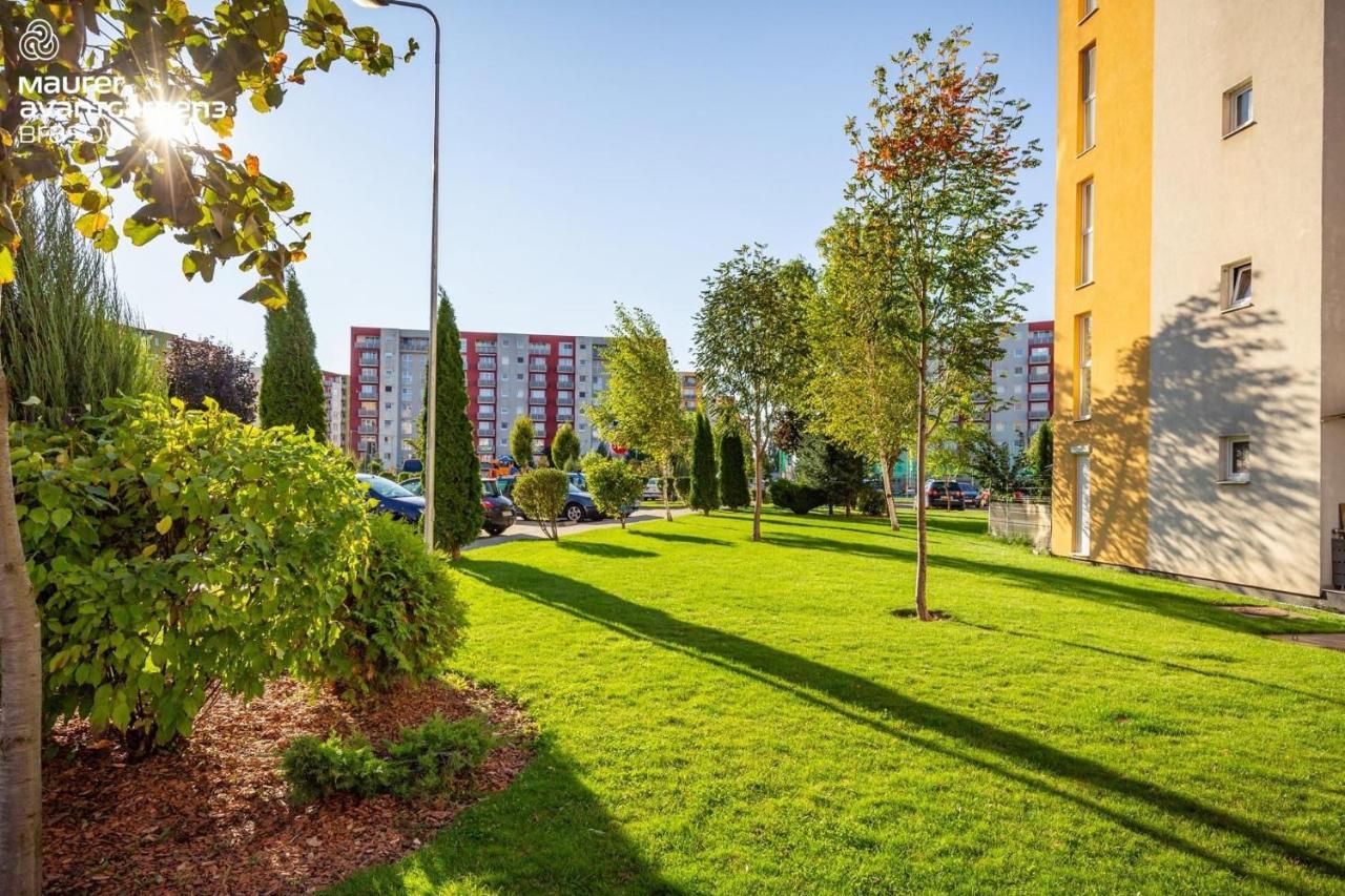 Apartment Richy Brasov Braşov Exterior foto
